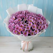 Букет цветов из:  Хризантемы #REPLACE_PRED# Залимане