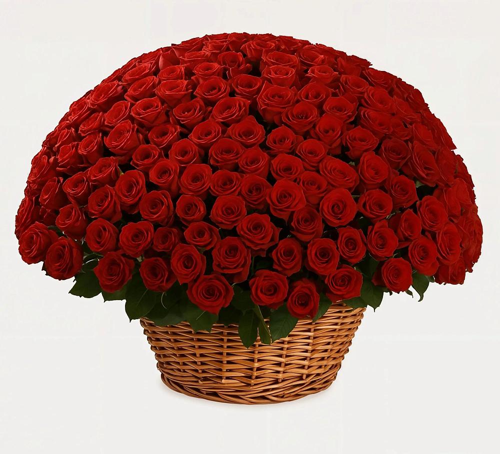 Премиум букет из: Розы в Залимане