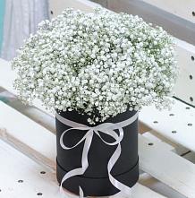 Цветочная композиция из Гипсофила в шляпной коробке #REPLACE_PRED# Залимане