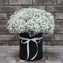 Цветочная композиция из Гипсофила в шляпной коробке в Залимане